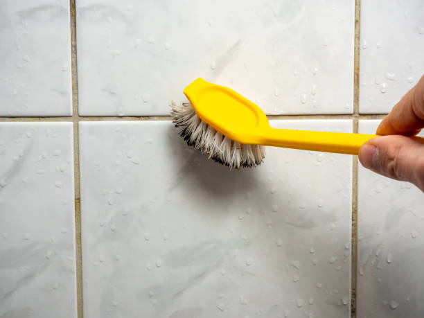 Best Certified Mold Removal  in South Beloit, IL