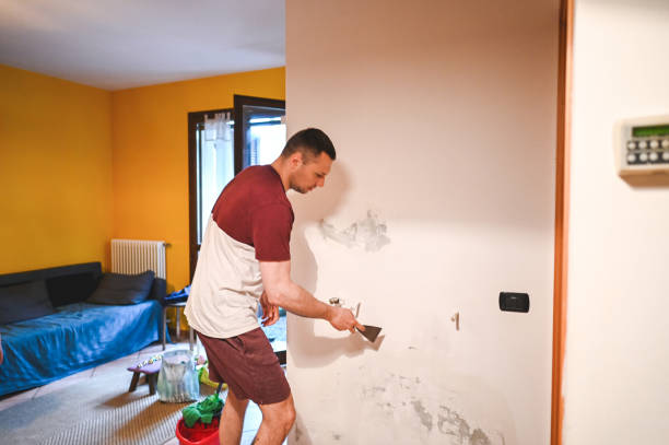 Best Mold Remediation Experts  in South Beloit, IL